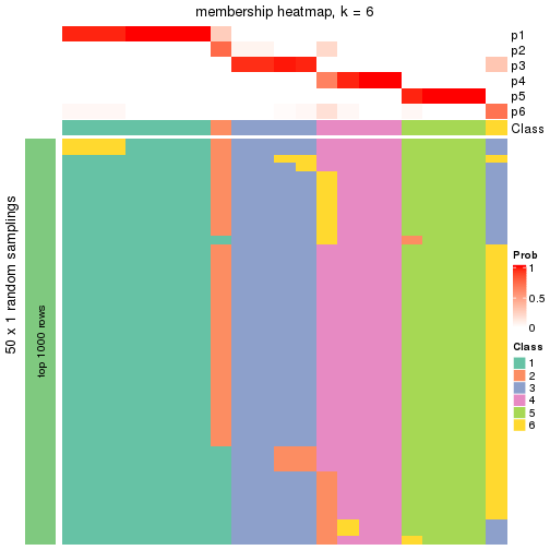 plot of chunk tab-node-0241-membership-heatmap-5