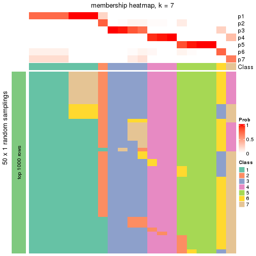 plot of chunk tab-node-0241-membership-heatmap-6