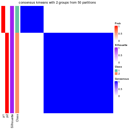 plot of chunk tab-node-025-consensus-heatmap-1