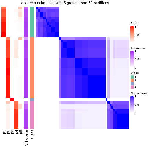 plot of chunk tab-node-025-consensus-heatmap-4