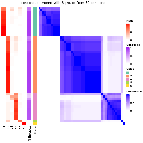 plot of chunk tab-node-025-consensus-heatmap-5