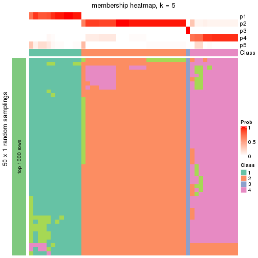 plot of chunk tab-node-025-membership-heatmap-4