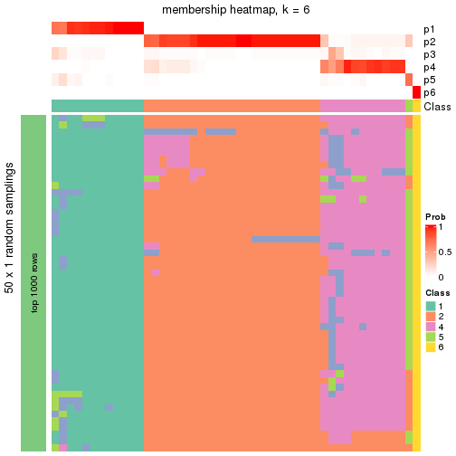 plot of chunk tab-node-025-membership-heatmap-5