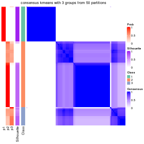 plot of chunk tab-node-03-consensus-heatmap-2