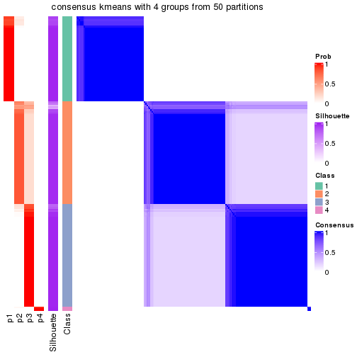 plot of chunk tab-node-03-consensus-heatmap-3