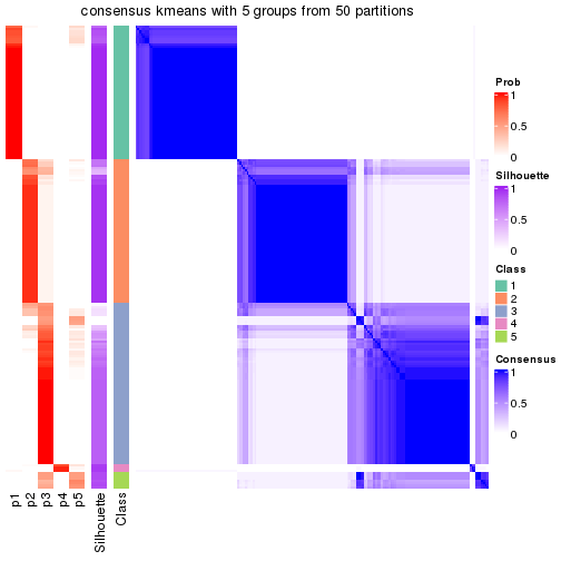 plot of chunk tab-node-03-consensus-heatmap-4