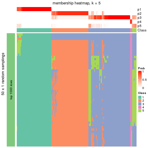 plot of chunk tab-node-03-membership-heatmap-4