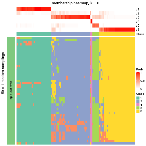 plot of chunk tab-node-03-membership-heatmap-5