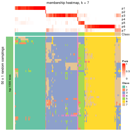 plot of chunk tab-node-03-membership-heatmap-6