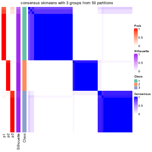 plot of chunk tab-node-031-consensus-heatmap-2