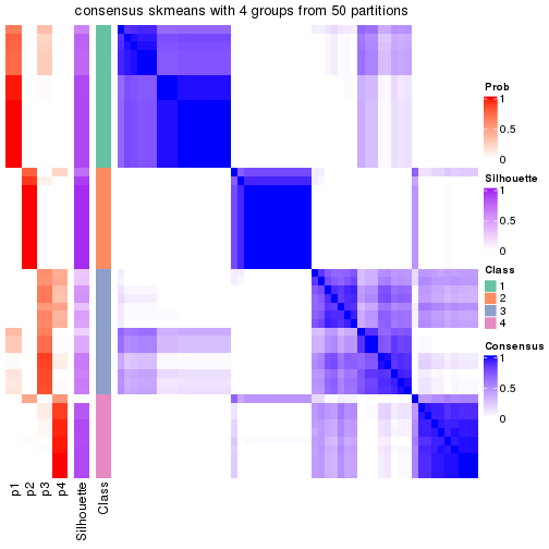 plot of chunk tab-node-031-consensus-heatmap-3