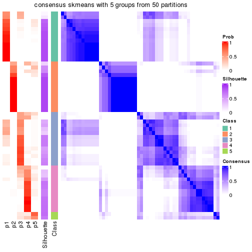 plot of chunk tab-node-031-consensus-heatmap-4