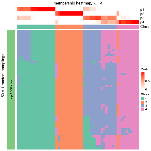 plot of chunk tab-node-031-membership-heatmap-3