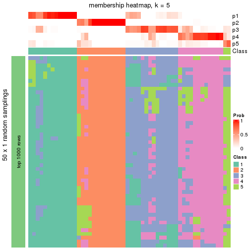 plot of chunk tab-node-031-membership-heatmap-4