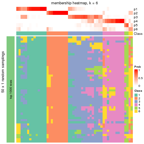 plot of chunk tab-node-031-membership-heatmap-5