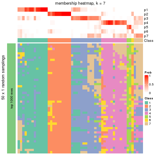 plot of chunk tab-node-031-membership-heatmap-6