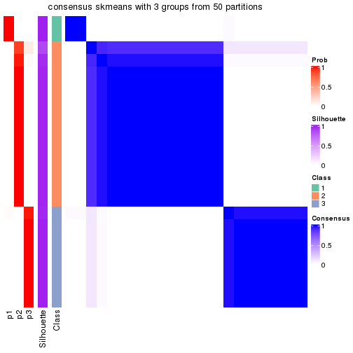 plot of chunk tab-node-0311-consensus-heatmap-2