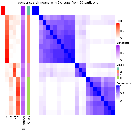 plot of chunk tab-node-0311-consensus-heatmap-4