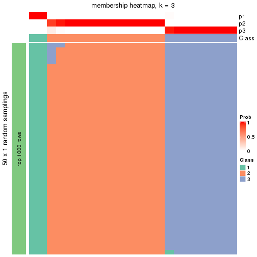 plot of chunk tab-node-0311-membership-heatmap-2