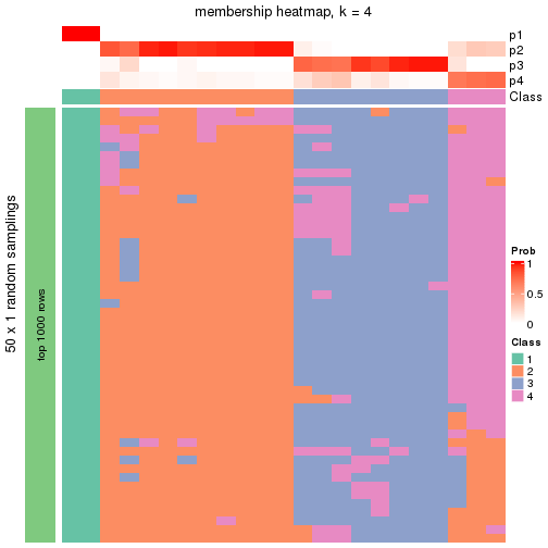 plot of chunk tab-node-0311-membership-heatmap-3