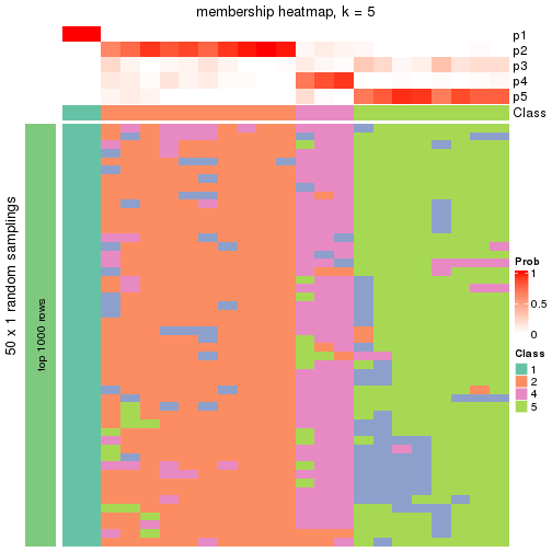 plot of chunk tab-node-0311-membership-heatmap-4