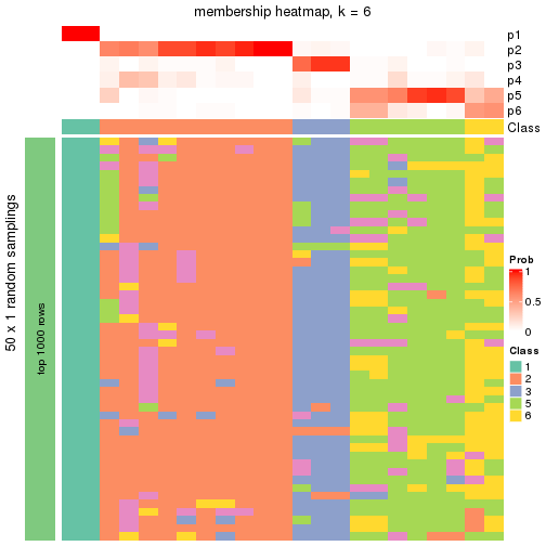 plot of chunk tab-node-0311-membership-heatmap-5