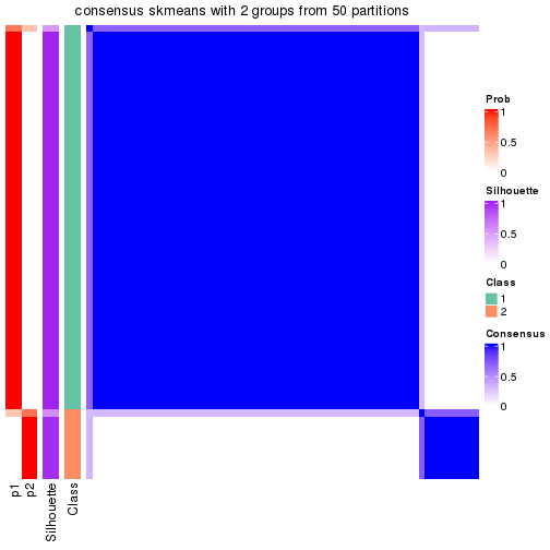 plot of chunk tab-node-033-consensus-heatmap-1