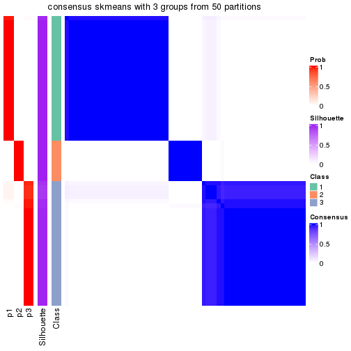 plot of chunk tab-node-033-consensus-heatmap-2