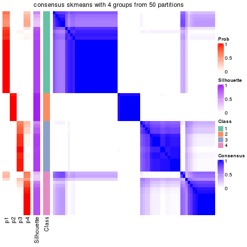 plot of chunk tab-node-033-consensus-heatmap-3