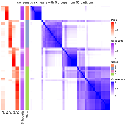 plot of chunk tab-node-033-consensus-heatmap-4