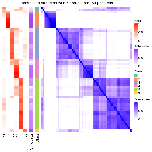 plot of chunk tab-node-033-consensus-heatmap-5