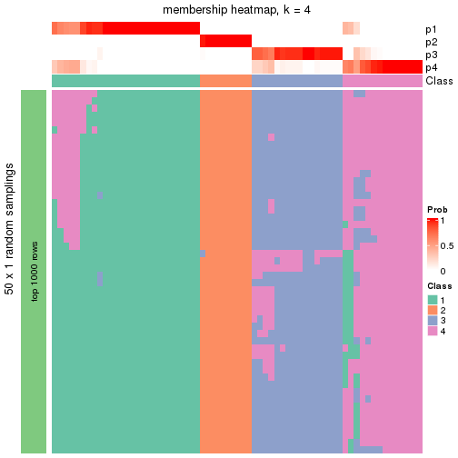 plot of chunk tab-node-033-membership-heatmap-3