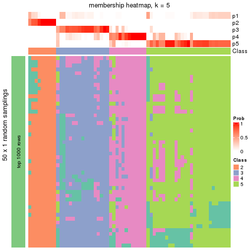 plot of chunk tab-node-033-membership-heatmap-4