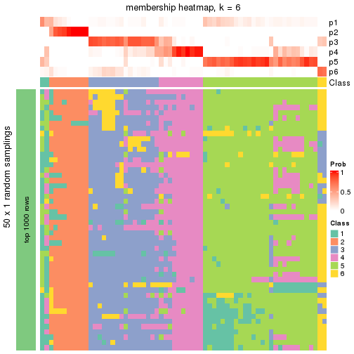 plot of chunk tab-node-033-membership-heatmap-5