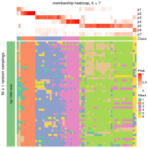 plot of chunk tab-node-033-membership-heatmap-6