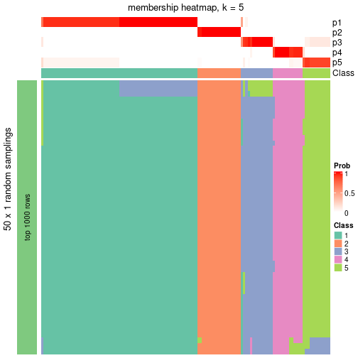 plot of chunk tab-node-0-membership-heatmap-4