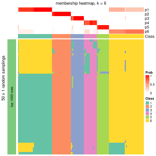 plot of chunk tab-node-0-membership-heatmap-5