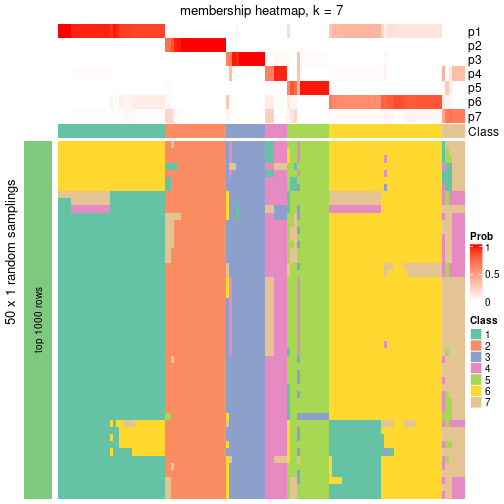 plot of chunk tab-node-0-membership-heatmap-6