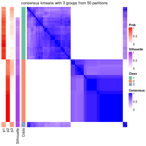 plot of chunk tab-node-01-consensus-heatmap-2