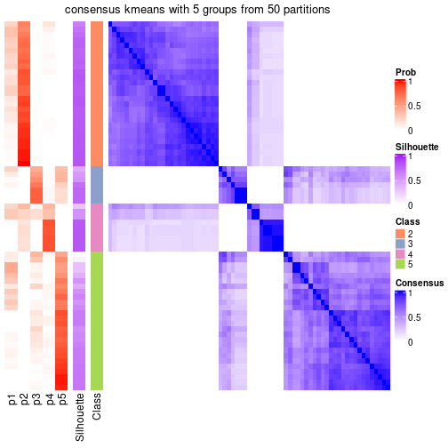 plot of chunk tab-node-01-consensus-heatmap-4