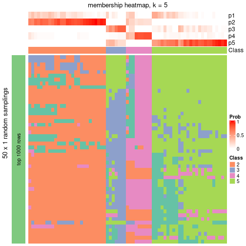 plot of chunk tab-node-01-membership-heatmap-4