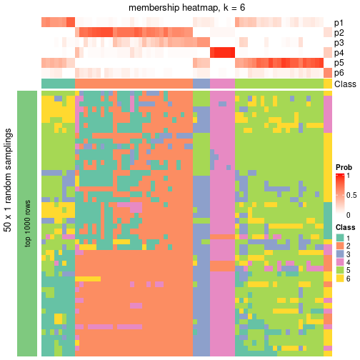 plot of chunk tab-node-01-membership-heatmap-5