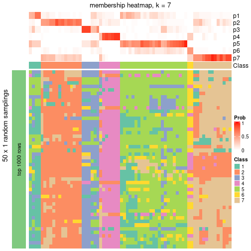 plot of chunk tab-node-01-membership-heatmap-6