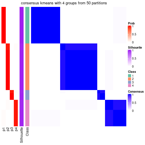 plot of chunk tab-node-012-consensus-heatmap-3