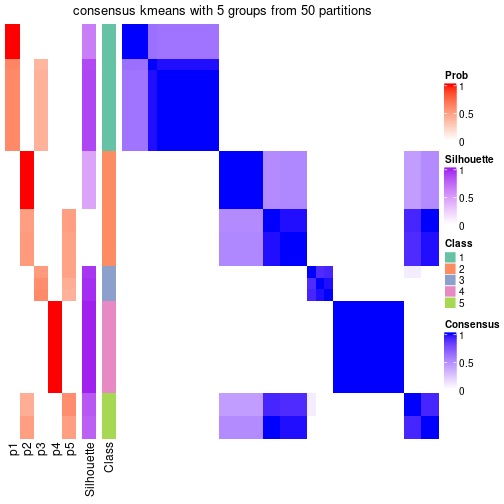 plot of chunk tab-node-012-consensus-heatmap-4