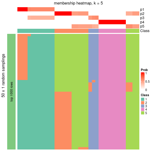 plot of chunk tab-node-012-membership-heatmap-4