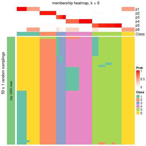 plot of chunk tab-node-012-membership-heatmap-5