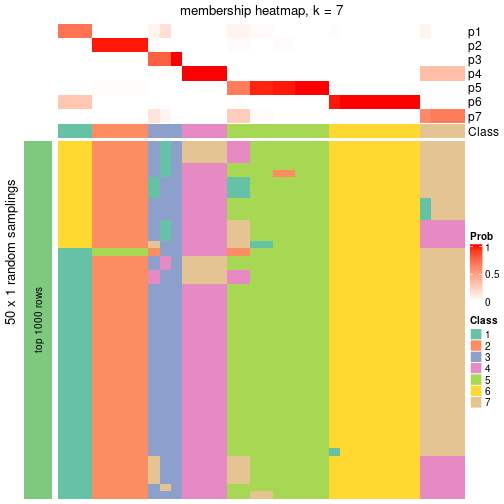 plot of chunk tab-node-012-membership-heatmap-6