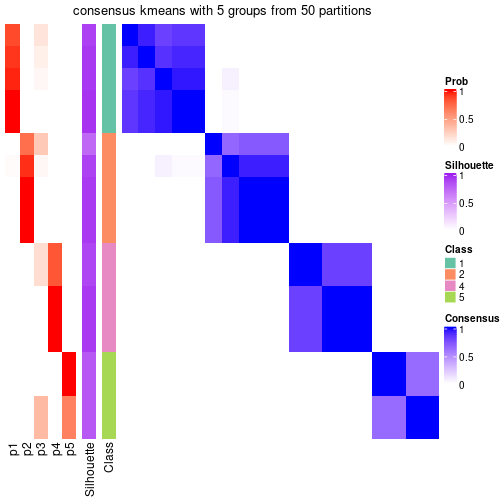 plot of chunk tab-node-02-consensus-heatmap-4