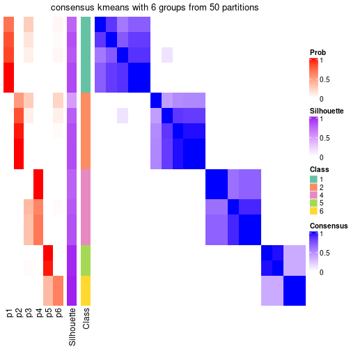 plot of chunk tab-node-02-consensus-heatmap-5